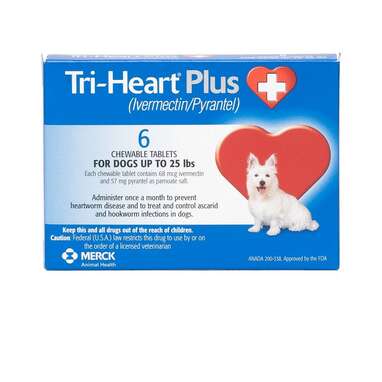 best heartworm prevention medication for dogs